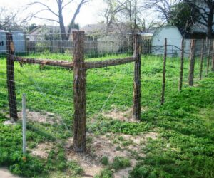 6 ft cedar ranch fence (2)